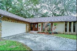 103 Goins Drive, Seffner FL 33584