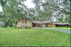 103 Goins Drive, Seffner FL 33584