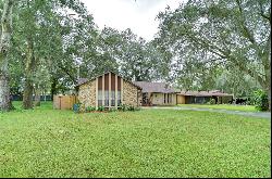 103 Goins Drive, Seffner FL 33584