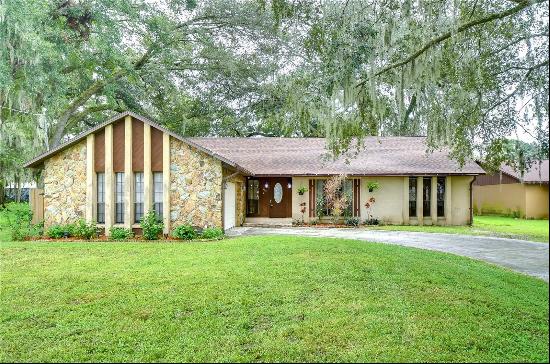 103 Goins Drive, Seffner FL 33584