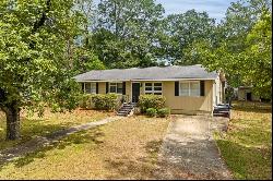 313 Bowden Drive, Auburn AL 36830