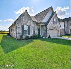 9165 S Lakeside Circle, Walls MS 38680