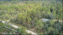 Sage Brush Lane, Weeki Wachee FL 34614