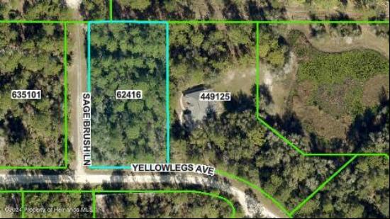 Sage Brush Lane, Weeki Wachee FL 34614