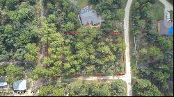 Sage Brush Lane, Weeki Wachee FL 34614