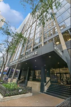 233 E Erie Street #1005, Chicago IL 60611