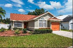 11314 Maybrook Avenue, Riverview FL 33569