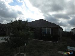 233 Mossberg Way, New Braunfels TX 78130