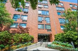 1115 S Plymouth Court #605, Chicago IL 60605