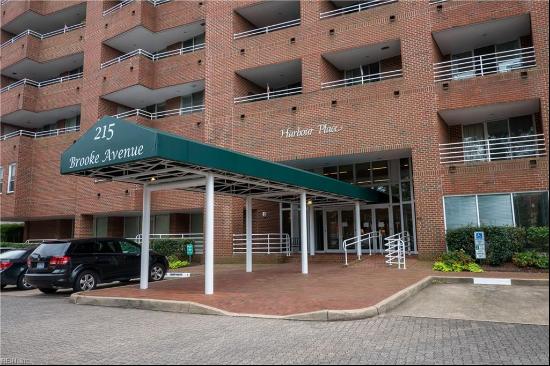 215 Brooke Avenue Unit 806, Norfolk VA 23510