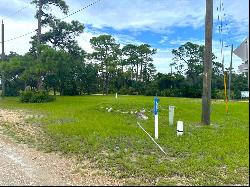 216 E Bay Shore Dr, St. George Island FL 32328