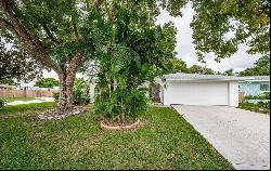 3835 Chaffey Drive, New Port Richey FL 34652