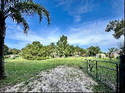 8623 Micarta Lane, Zephyrhills FL 33541