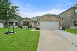 6911 Rosemont Court, Rosharon TX 77583