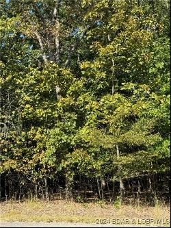 Lot 908 Muirfield Drive, Porto Cima MO 65079