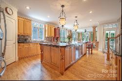 13810 Tributary Court, Davidson NC 28036