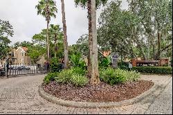 15215 Amberly Drive #206, Tampa FL 33647