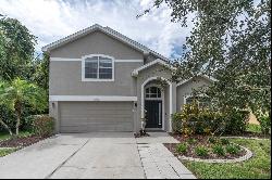 12021 Colony Lakes Boulevard, New Port Richey FL 34654