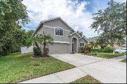 12021 Colony Lakes Boulevard, New Port Richey FL 34654