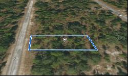 SE 134th Court, Dunnellon FL 34431