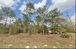 SW 94th Lane, Dunnellon FL 34432