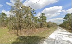 SW 94th Lane, Dunnellon FL 34432