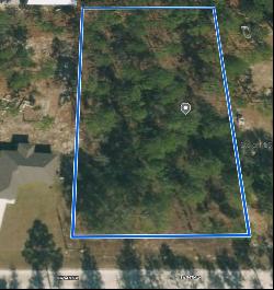 SW 94th Lane, Dunnellon FL 34432