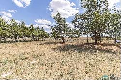 1157 State Road 275, Broadview NM 88120