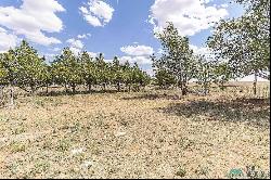 1157 State Road 275, Broadview NM 88120