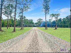 35061 Coy Holden Rd, Walker LA 70785