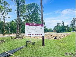 35061 Coy Holden Rd, Walker LA 70785