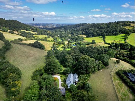 A chalet bungalow with annexe in a peaceful, private woodland setting in a beautiful valle