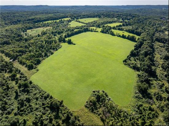 Your story begins here... Lot 5- 52.7 acres -Welcome to Salem View Farms, a 400-acre haven