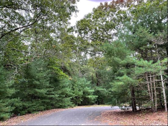 EAST HAMPTON 2+/- ACRE LOT WITH MAGESTIC WHITE PINE TREES