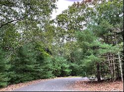 EAST HAMPTON 2+/- ACRE LOT WITH MAGESTIC WHITE PINE TREES