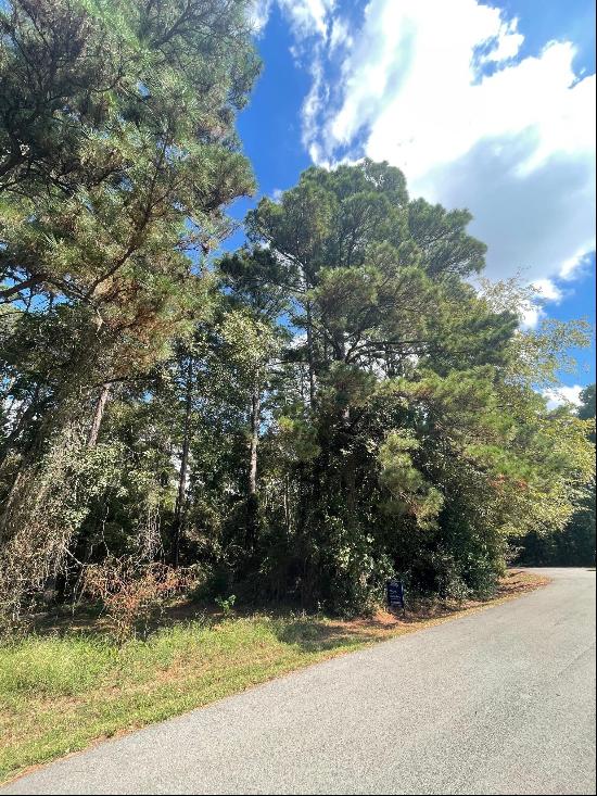 Two Lots For Dream Home on Lake Palestine