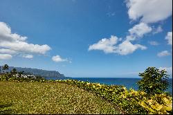 5300 KA HAKU RD,Princeville, HI, 96722