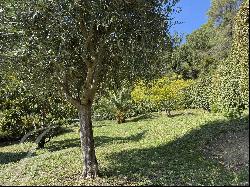 Saint-Paul de Vence: flat land, peaceful and green surroundings