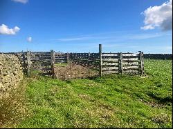 Land At High and Low Bishopside, Fellbeck, Harrogate, North Yorkshire, HG3 5EU