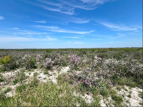 701+/- Acres Rembla Ranch, Val Verde County, Del rio, TX 78840