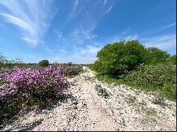 701+/- Acres Rembla Ranch, Val Verde County, Del rio, TX 78840