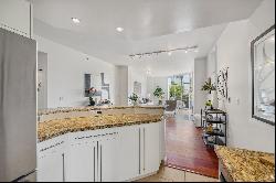 Spacious Lower Pacific Heights Condo