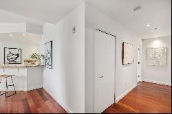 Spacious Lower Pacific Heights Condo