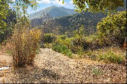 3280 Matilija Canyon Road,Ojai, CA, 93023