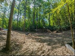 Lot 6 Brushy Face Road, Highlands NC 28741