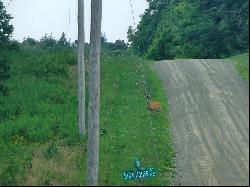 30.00 Acres James Road, Warren Center PA 18851