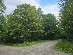 35.48 Acres Highland Lake Road, Warren Center PA 18851