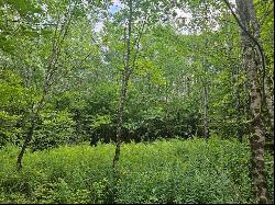 35.48 Acres Highland Lake Road, Warren Center PA 18851