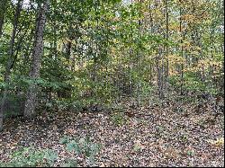 Lot 156 New Hampshire Drive, Webster NH 03303