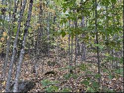 Lot 156 New Hampshire Drive, Webster NH 03303